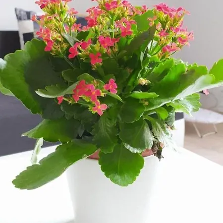 民宿 Apartment For Singles Or Couples In The Best Street Mariacka *